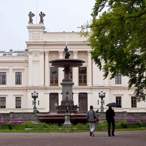 Uniwersytety zagraniczne